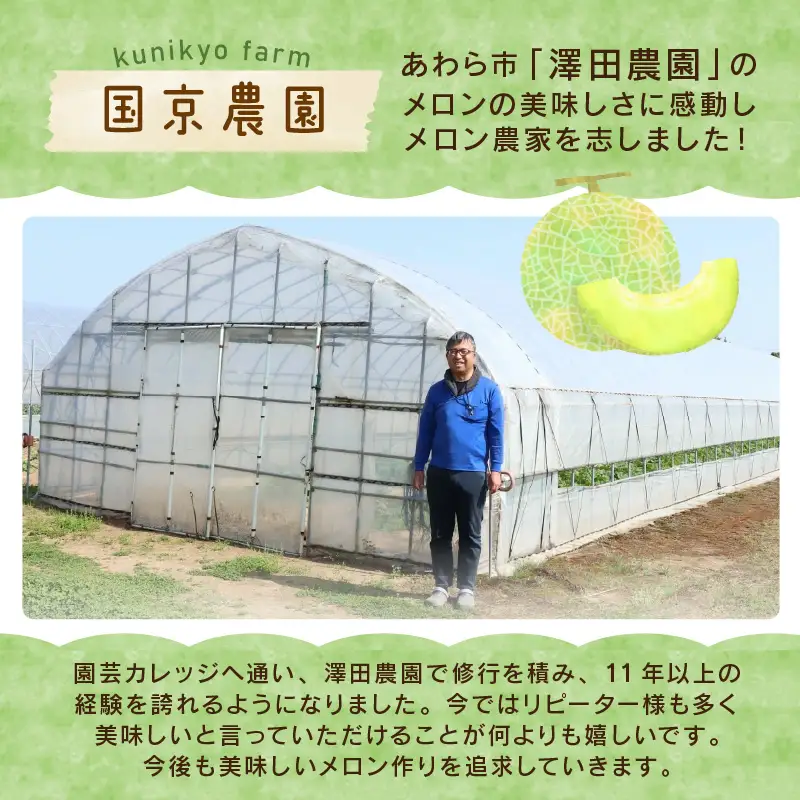  【先行予約】マルセイユメロン 2玉入 4L（1.3kg以上×2玉）高糖度で抜群に美味しい赤肉メロン ／ 果物 フルーツ 産地直送 ※2026年6月上旬以降発送 [aw067-a005]