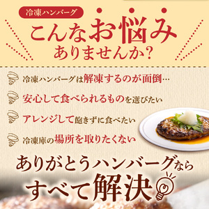 【ハンバーグ】 24個 【便利・スピード発送】ありがとうハンバーグ