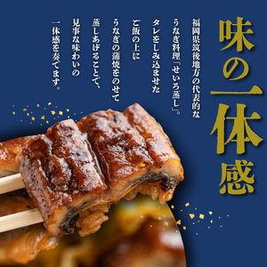 うなぎのせいろ蒸し（2個セット）_期間限定 国産 うなぎ せいろ蒸し 2個 セット 蒲焼 電子レンジ対応 お手軽 レンチン 鰻専門問屋 樋口商店 真空パック 冷凍 お取り寄せ グルメ ギフト 時短 調理済み お土産 手土産 福岡 九州 久留米 筑後 送料無料 〔Cu101〕