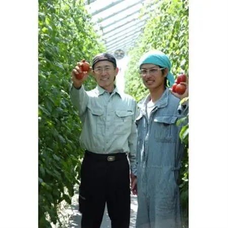 濃厚で甘い深層水トマトジュース大瓶2本セット【無塩無添加】【1285106】