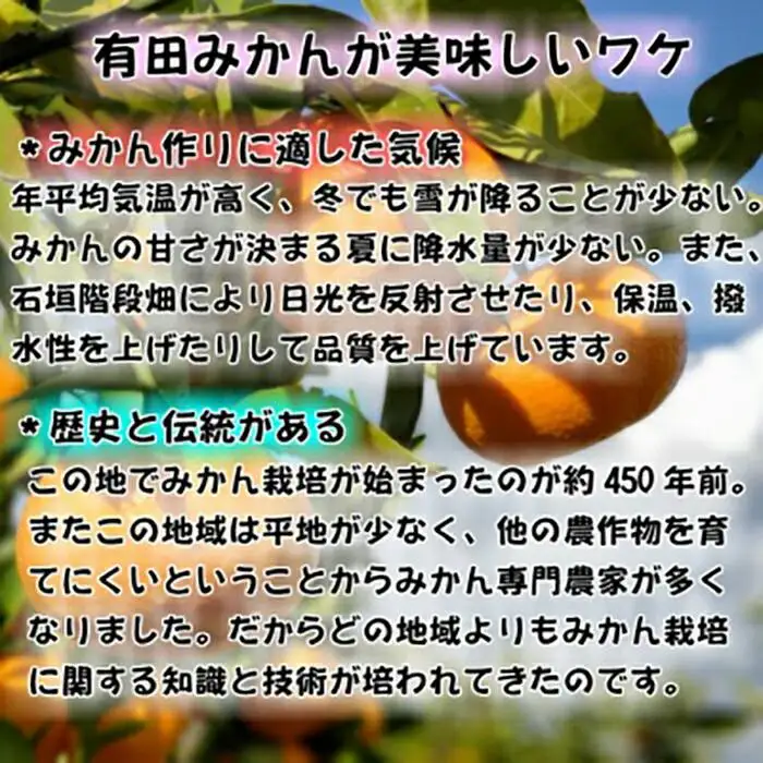 有田みかん［特秀品小玉Ｓ～Ｍ、高糖度］約5Kg！　2026年10月以降順次発送