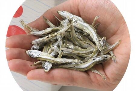 長崎県産 無添加にぼし（【いりこ】小羽）1.5kg