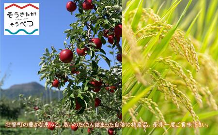 そうべつアップルワイン・スイート500ml×12本 SBTA021