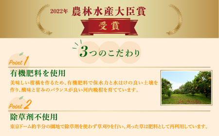 【先行予約】吉本農園の愛南ゴールド（河内晩柑）家庭用約5kg　＜柑橘 希少 果物 国産 フルーツ みかん 蜜柑  家庭用 和製 グレープフルーツ ブランド 果実 ビタミン 愛媛県 鬼北町 ＞ ※2026年4月上旬～8月上旬頃に順次発送予定