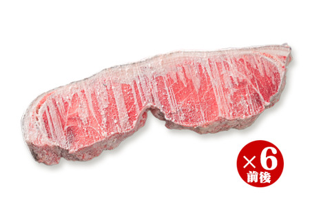 グリル用まぐろテール肉 ＜お試し商品＞　CH-101
