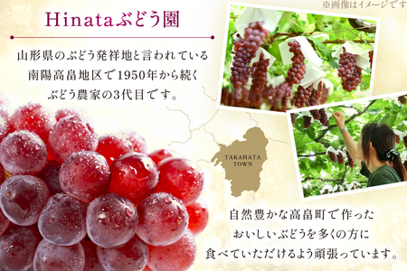 【期間限定発送】 ぶどう 朝採り デラウェア 秀 L～2L 12～16房 約 2kg [Ｈinataぶどう園 山形県 高畠町 tk06ayt190007]