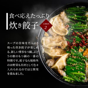 ぶどうの樹　九州産和牛マル腸　もつ鍋炊き餃子【3～4人前】_KG0204