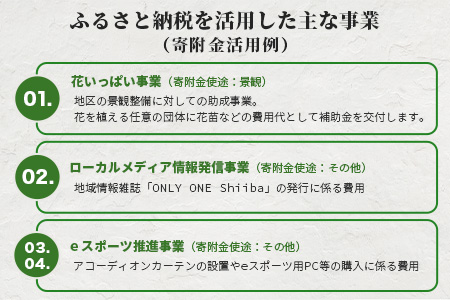 【返礼品なしの寄附】宮崎県椎葉村（1口：10,000円）