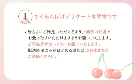 先行予約 さくらんぼ 紅秀峰 秀Lサイズ 1kg (500gx2パック)バラ詰め 化粧箱 令和8年産 ns-bsslb1