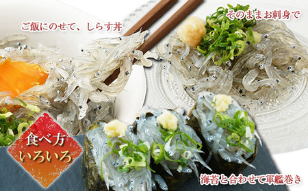 【数量限定】浜松生しらす（冷凍）100g×10パック 魚貝類 10袋 