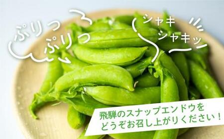 【数量限定】≪6月頃より順次発送≫ 飛騨高山産 甘み抜群！すくなスナッピー1kg (スナップえんどう) | スナックえんどう スナップエンドウ 野菜 旬 新鮮 飛騨 高山 エンドウ 豆 スナックエンドウ えんどう豆 飛騨高山 宿儺さま KA001