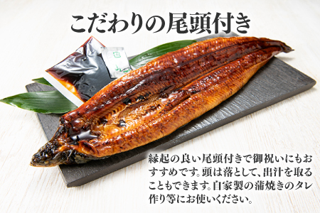 AB292.【国内産】【有頭】うなぎ蒲焼 (特大) 1尾 ＜計250g前後＞『１～２ヶ月前後でお届け！！』