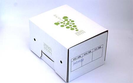 【令和8年産先行予約】 シャインマスカット 約2kg (2房以上) 《令和8年9月頃～発送》 『南陽中央青果市場』 マスカット ぶどう 果物 フルーツ デザート 山形県 南陽市 [1205]