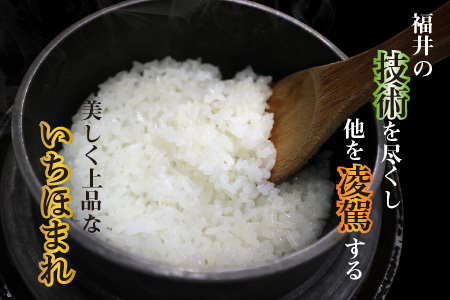 【令和7年産】（無洗米） さんさん池見二代目がお届けする 福井県産いちほまれ 5kg [B-0219_05]
