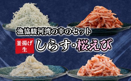【 定期便 3ヶ月】 3種セット 太刀魚醤油干し しらす 桜えび うなぎ蒲焼 うなぎ
