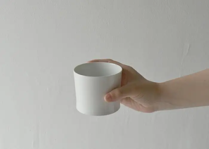 【AB319】【波佐見焼】es agasuke酒器セット【西海陶器】 １ 19638