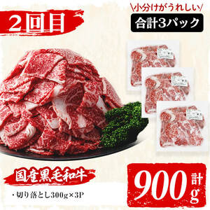 【定期便・全3回】国産黒毛和牛と九州産豚肉の食卓お助けゴーゴー定期便 計5.55kg t0037-002