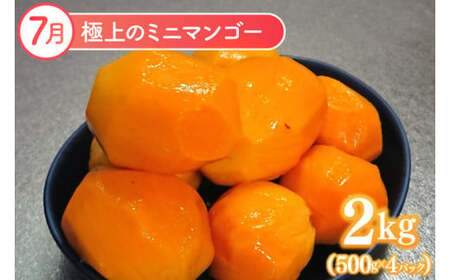 【2026年6月より順次発送】【全3回】豊見城 極上フルーツ定期便(6・7・8月コース) (AC022)