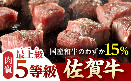 【A5 希少部位】佐賀牛ヒレサイコロ ステーキ 500g HAD036 ヒレ 牛肉