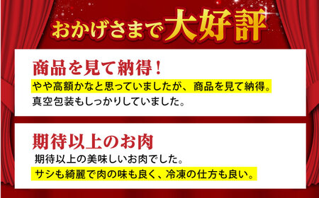 【全6回定期便】佐賀牛 A5 リブロース スライス 500g（しゃぶしゃぶ用）  [HAD085] 佐賀牛
