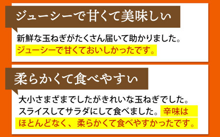 江北町産 たまねぎ 約6kg [HAE008]佐賀 玉ねぎ たまねぎ