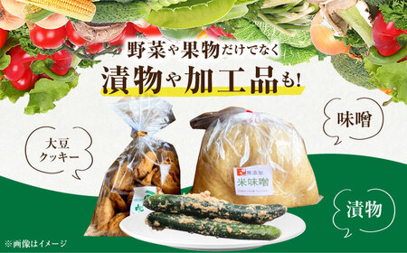 【隔月発送】【全3回定期便】新鮮野菜・加工品 おまかせ詰め合わせ [HAG016]野菜 詰め合わせ フルーツ 漬物