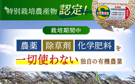 【全12回定期便】押麦500g（1等麦使用）【葦農】 HAJ039 