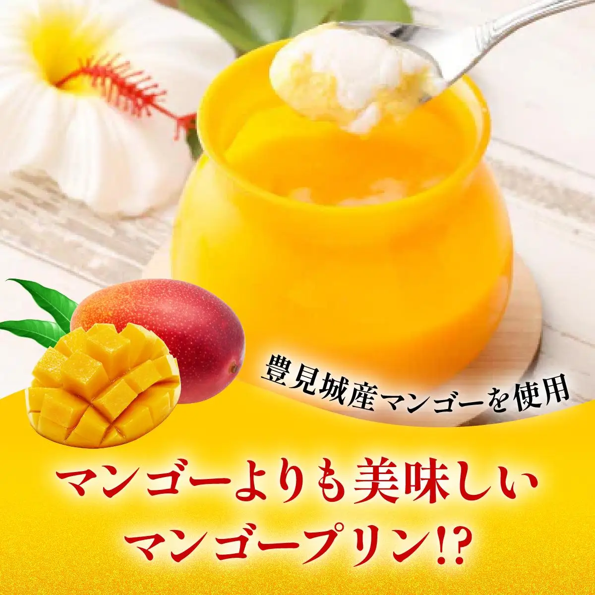 とろなまマンゴープリン(100g×6個入り) AC016-1