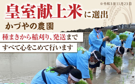 令和8年産 さがびより 玄米 15kg【かづやの農園】 [HAP003]