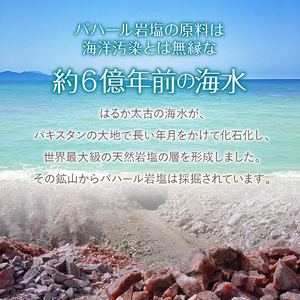 パハール岩塩粉末700g＋ソルト容器１本 岩塩 塩 パハール岩塩 天然 無添加 旨み 詰替用 粉末 700g 容器1本付 贈り物 ギフト プレゼント 送料無料 山梨県 上野原市