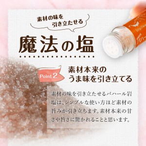 パハール岩塩mini＋詰替用ミル挽粉末100ｇ×10袋 岩塩 塩 パハール岩塩 mini 天然 無添加 旨み 詰替用 ミル挽粉末 100ｇ 10袋 贈り物 ギフト プレゼント 送料無料 山梨県 上野原市