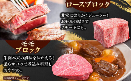 【全12回定期便】毎月お届け！佐賀牛 お楽しみ定期＜梅＞【Trade com 8】 [HBO004]牛肉
