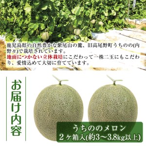 【先行予約】うちのの メロン 2玉 計3～3.8kg 果物 フルーツ ギフト 【山ん神】 i605