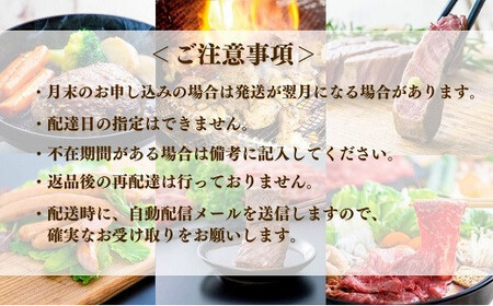 肉ざんまい定期便全6回6ヶ月牛肉焼肉ステーキスライス鶏肉ウインナーハンバーグ | 豊後高田市 ステーキ