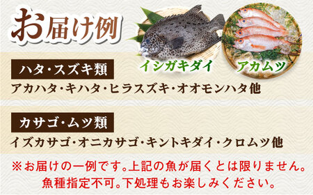 【全4回定期便】【五島列島直送】朝獲れ高級鮮魚セット2kg 五島市 / 鯛福丸水産[PDP005]  魚 鮮魚 セット 海鮮 直送 さかな 詰合せ 冷蔵 定期