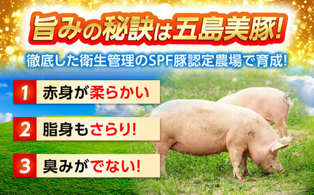 五島美豚プレミアムハンバーグ5個 五島市/長崎フードサービス[PEL037]  ハンバーグ 手作り 手ごね 冷凍 肉 豚 豚肉 国産