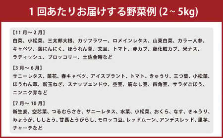 【定期便12回】旬の朝採れ土佐野菜詰め合わせ（10～13品目）詰め合わせ 野菜セット 野菜 ギフト やさいセット お取り寄せグルメ 家庭用 旬野菜 新鮮 特産 農薬不要 食材
