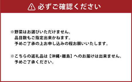 旬の朝採れ土佐野菜詰め合わせ（10～13品目）詰め合わせ 野菜セット 野菜 ギフト やさいセット お取り寄せグルメ 家庭用 旬野菜 新鮮 特産 農薬不要 食材