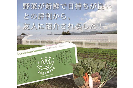 旬の採れたて新鮮野菜セット10品目「新鮮だから美味しい！」