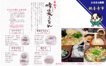 「さぬき半生」 讃岐吟麦うどん 30人前 300g×10袋 麺類 
