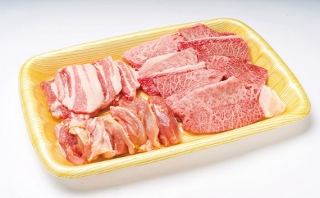 おおいた焼肉セット(合計500g) | 豊後高田市 焼肉