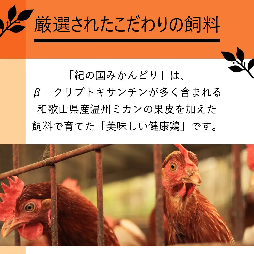 紀の国みかんどり　フライドチキン
