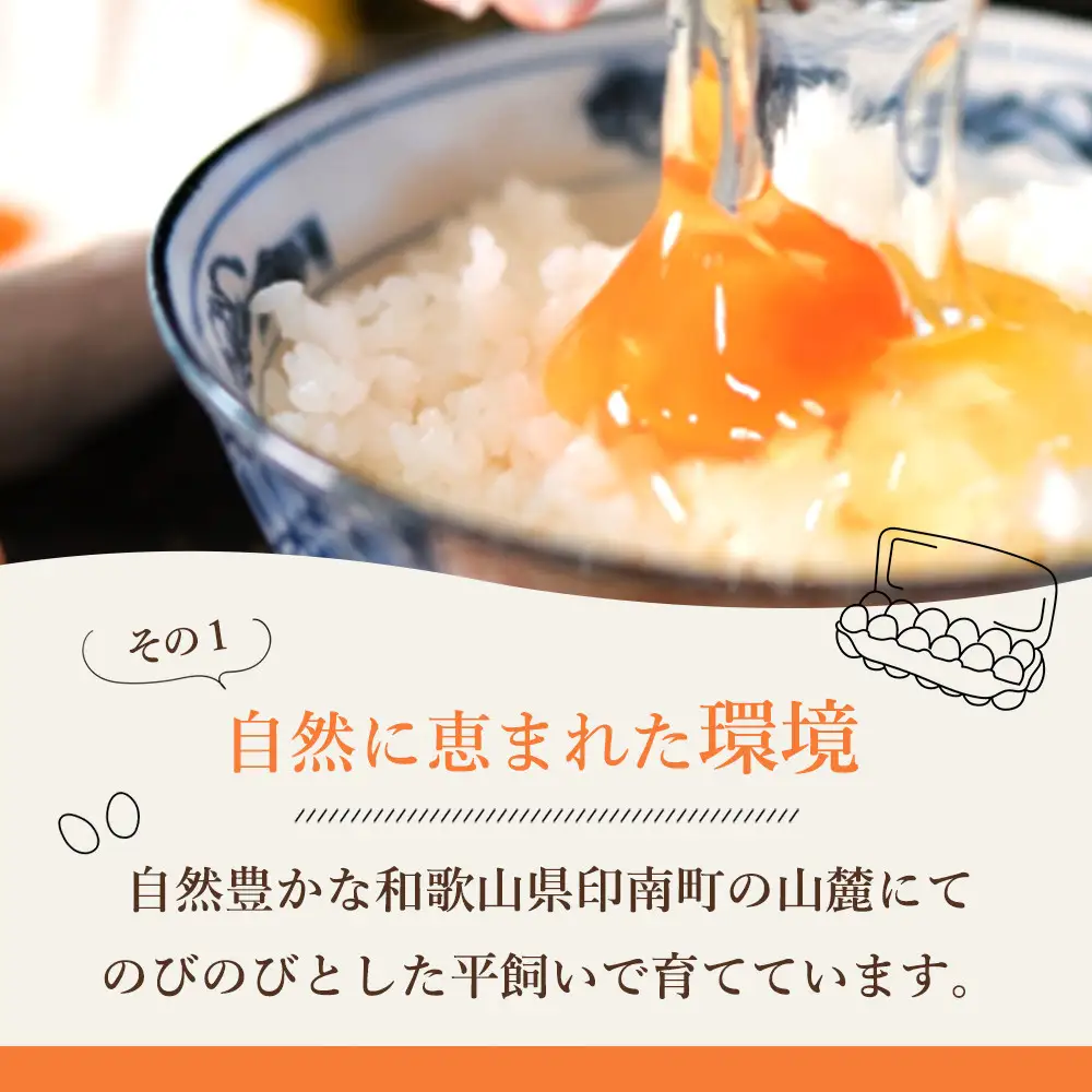 【全3回】紀の国みかん極みたまご定期便 卵 たまご 玉子 
