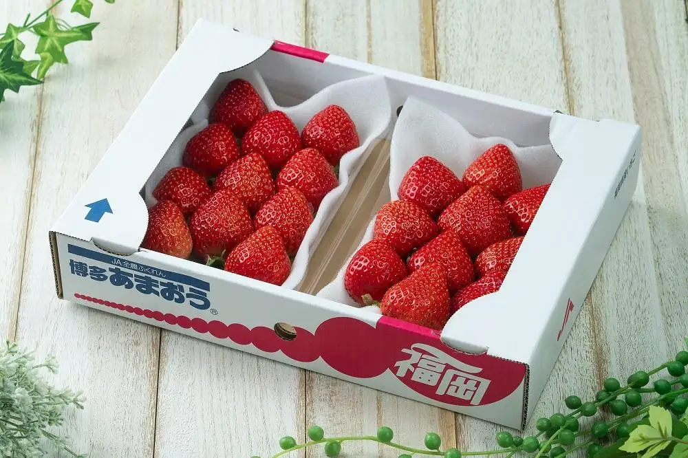 フルーツソムリエが選んだ 福岡県産冬あまおう２パック※一部離島不可【1パックあたり250g】