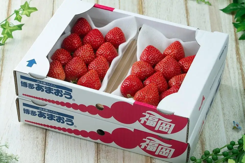 フルーツソムリエが選んだ 福岡県産冬あまおう４パック※一部離島不可【1パックあたり250g】