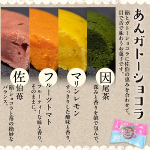あんガトーショコラ (合計8個・4種各2個) 餡 ガトーショコラ スイーツ スウィーツ 菓子 焼き菓子 洋菓子 おやつ 詰め合わせ セット 個装 大分県 佐伯市【ER033】【(株)古川製菓】