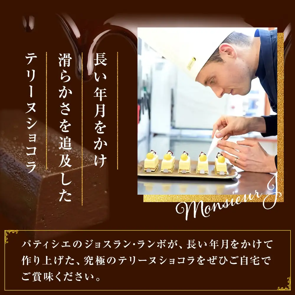 究極のデザートチョコレート【テリーヌショコラピスターチ】