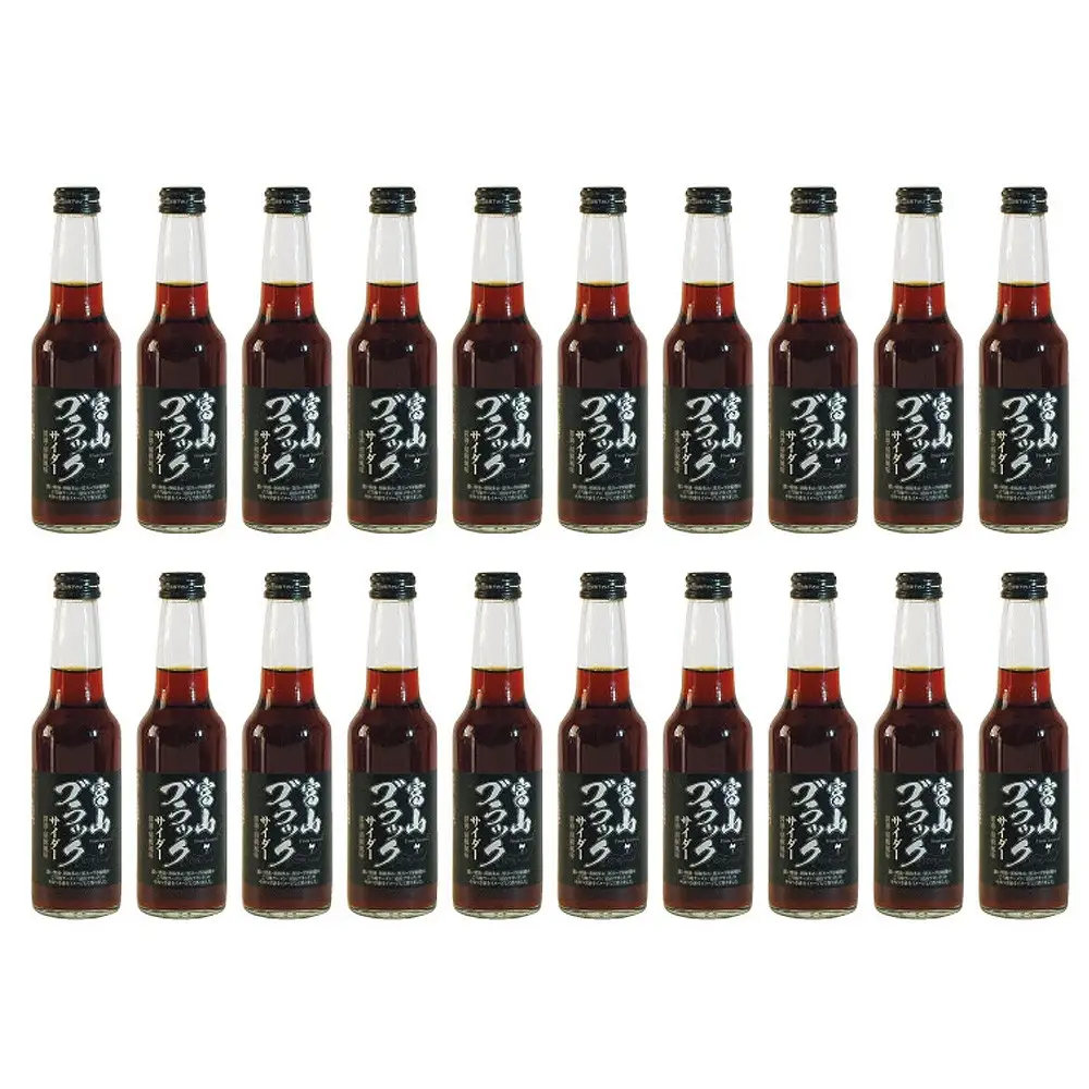 ブラックサイダー 1ケース２0本　炭酸飲料 サイダー ソフトドリンク 黒いサイダー