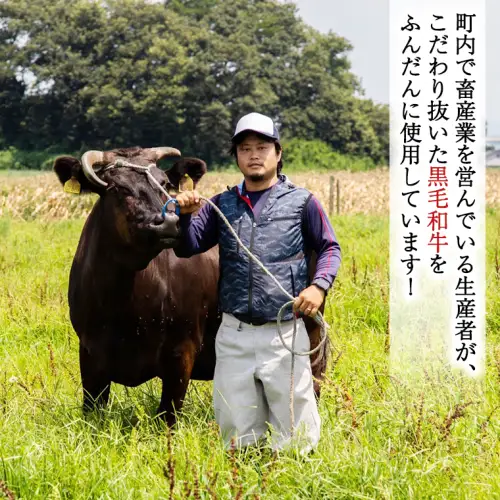 【八千代町産和牛と野菜使用】【黒毛和牛ビーフカレー】 298（にくや） カレー （200g×30袋） レトルト ビーフ 和牛 ひとり暮らし インスタント お取り寄せ 惣菜 グルメ [CA005ya]