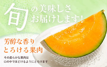 【先行予約】北海道森町産赤肉メロン2～3玉入り（1箱4kg前後）（2026年6月上旬～8月上旬頃に順次お届け）＜道産ネットミツハシ＞  森町 メロン 果物 赤肉 北海道産 mr1-0906
